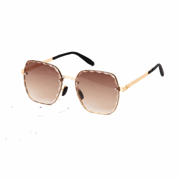 Wayfarer Glasses